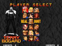Real Bout Fatal Fury